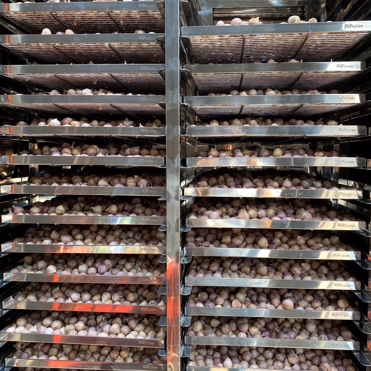 Tỏi Đen Cô Đơn Chava - Chava Health - Ảnh 12