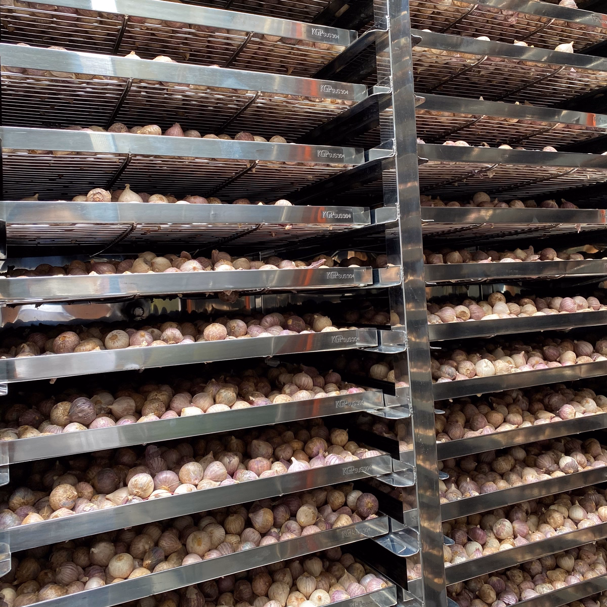 Tỏi Đen Cô Đơn Chava - Chava Health - Ảnh 13