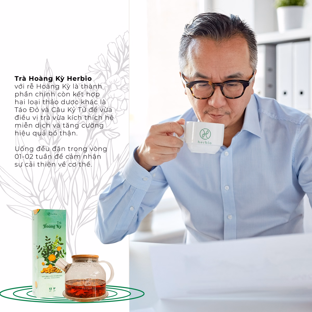 Trà Hoàng Kỳ - Herbio - Ảnh 2