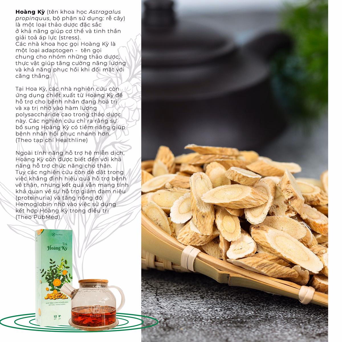 Trà Hoàng Kỳ - Herbio - Ảnh 3