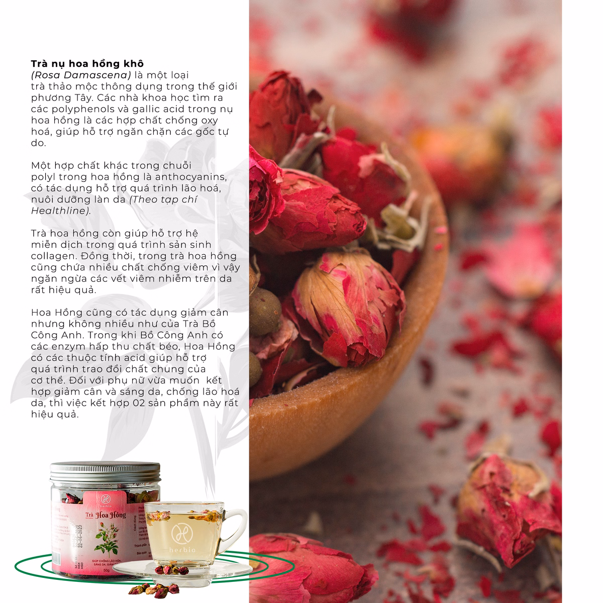 Trà Hoa Hồng 50G - Herbio - Ảnh 2