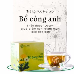 Trà Bồ Công Anh Túi Lọc - Herbio