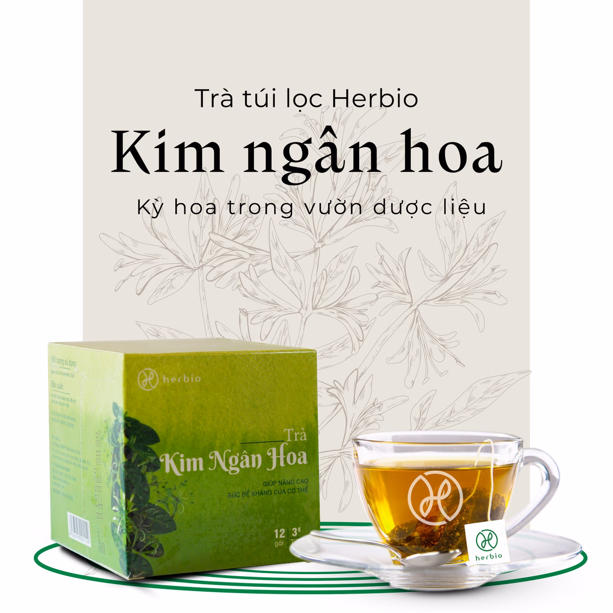 Trà Kim Ngân Hoa Túi Lọc - Herbio