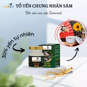 Tổ Yến Chưng Nhân Sâm - Lamnest