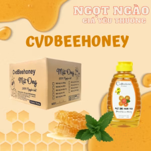 [Thùng 12 Chai] Mật Ong 500G - Cvdbeehoney