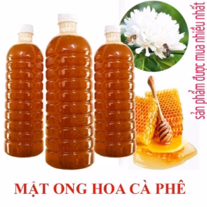 1 Lit Mật Ong Hoa Cà Phê Nguyên Chất - Đặc Sản Tây Nguyên - Minh Ngọc
