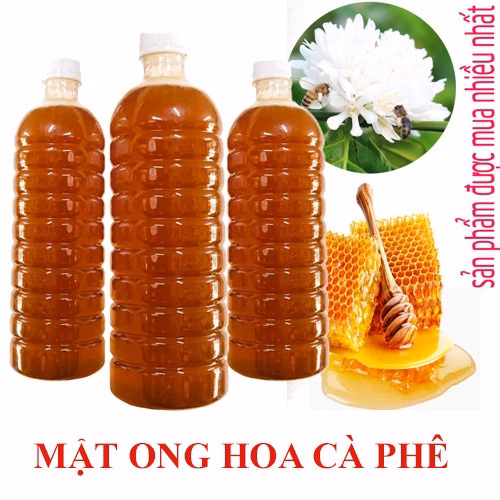 1 Lit Mật Ong Hoa Cà Phê Nguyên Chất - Đặc Sản Tây Nguyên - Minh Ngọc