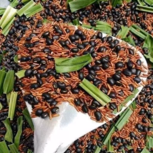 Trà Gạo Lức Đậu Đen Lá Dứa Đóng Hộp 1Kg - Winnie House