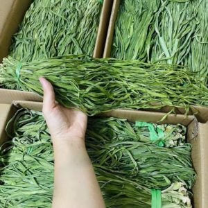 Rau Tiến Vua ( Cần Biển) Khô, Xanh Non, Giòn Ngọt Giàu Chất Xơ - Minh Ngọc