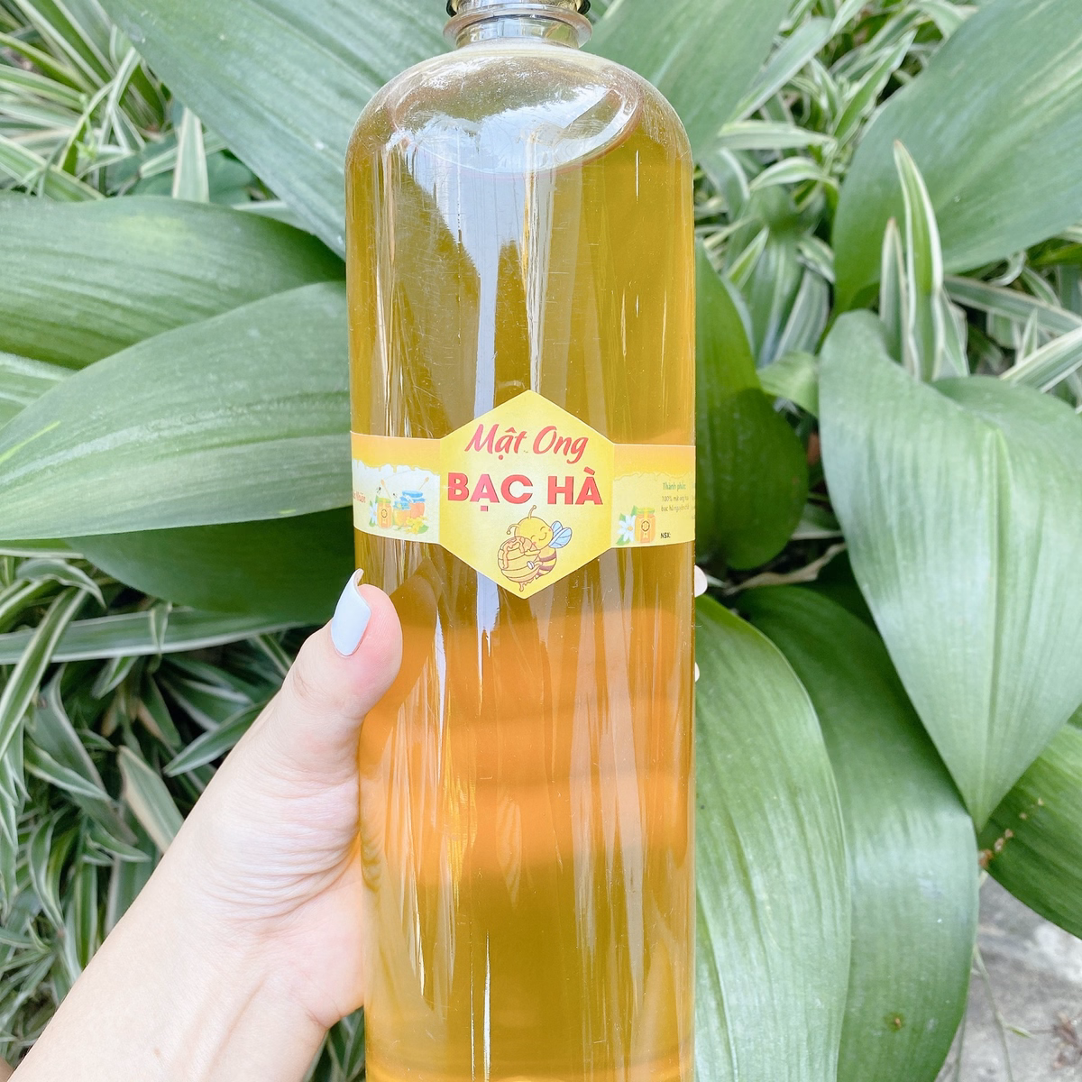 Mật Ong Bạc Hà Hà Giang Nguyên Chất, Chai 500Ml - 1000Ml - Ảnh 2