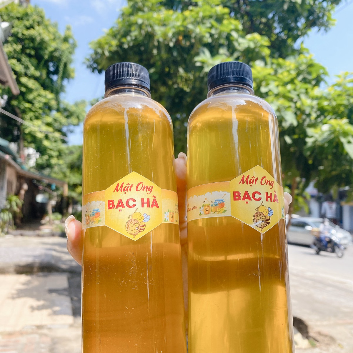 Mật Ong Bạc Hà Hà Giang Nguyên Chất, Chai 500Ml - 1000Ml - Ảnh 3