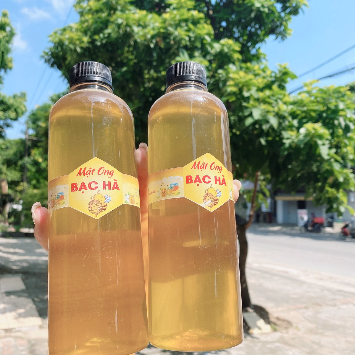 Mật Ong Bạc Hà Hà Giang Nguyên Chất, Chai 500Ml - 1000Ml - Ảnh 4