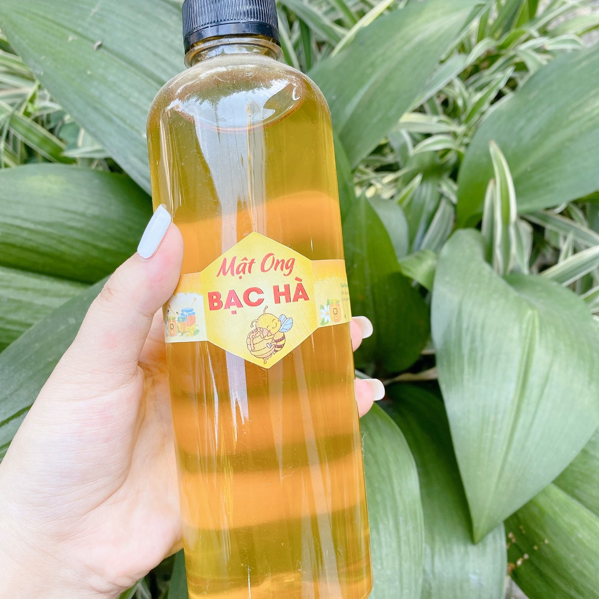 Mật Ong Bạc Hà Hà Giang Nguyên Chất, Chai 500Ml - 1000Ml - Ảnh 5