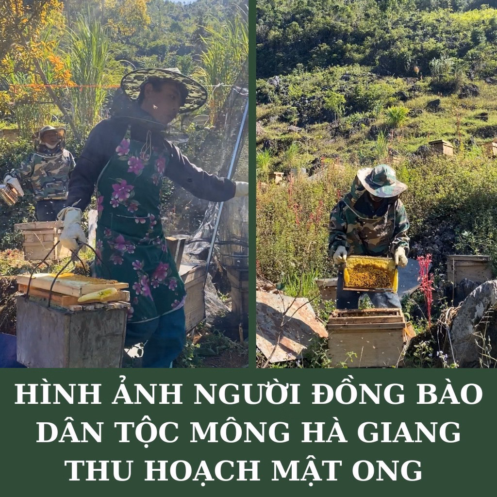 Mật Ong Bạc Hà Hà Giang Nguyên Chất, Chai 500Ml - 1000Ml - Ảnh 10