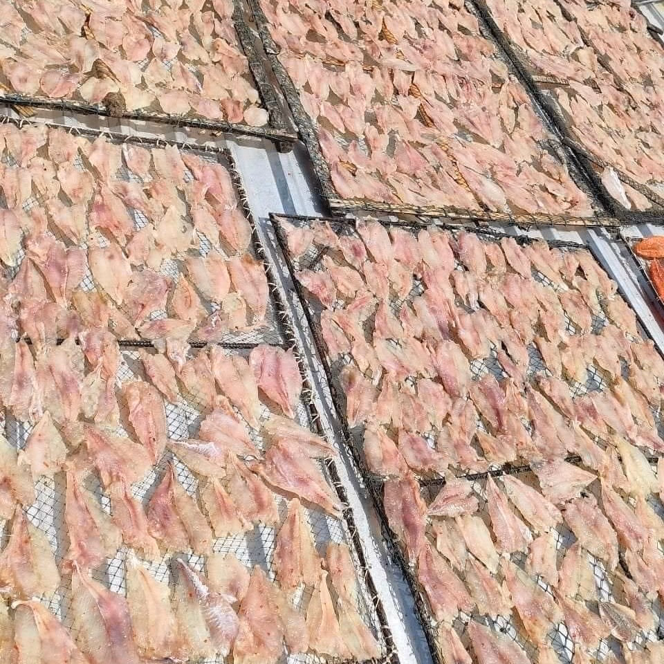 Khô Cá Mao Ếch 500G - Vựa Khô Bến Tre - Ảnh 2