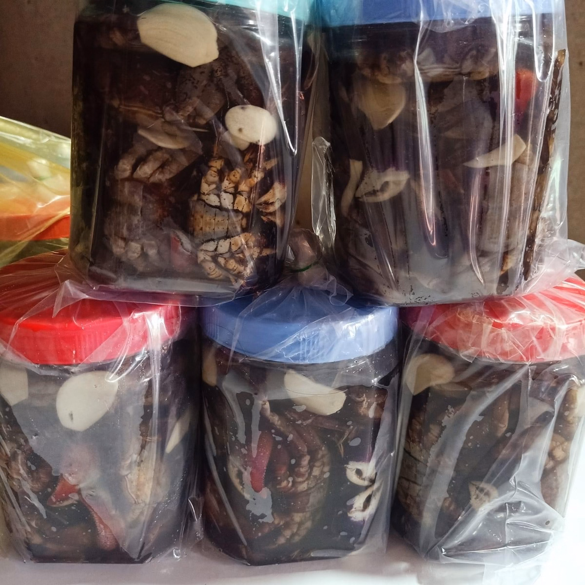 Mấm Ba Khía Muối Mặn - Vựa Khô Bến Tre - Ảnh 2