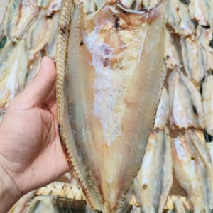 Khô Cá Mối Xẻ Ướp Mặn Vừa Ăn 500G - Vựa Khô Bến Tre