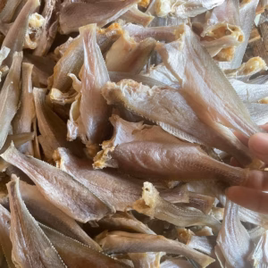 Khô Cá Đù Ướp Mặn Vừa Ăn 500G - Vựa Khô Bến Tre