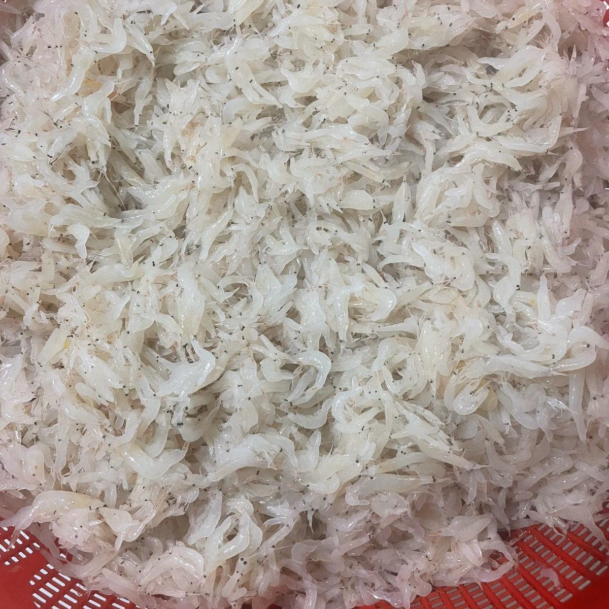 Ruốc Khô Đặc Sản Vùng Biển 500G - Vựa Khô Bến Tre - Ảnh 3