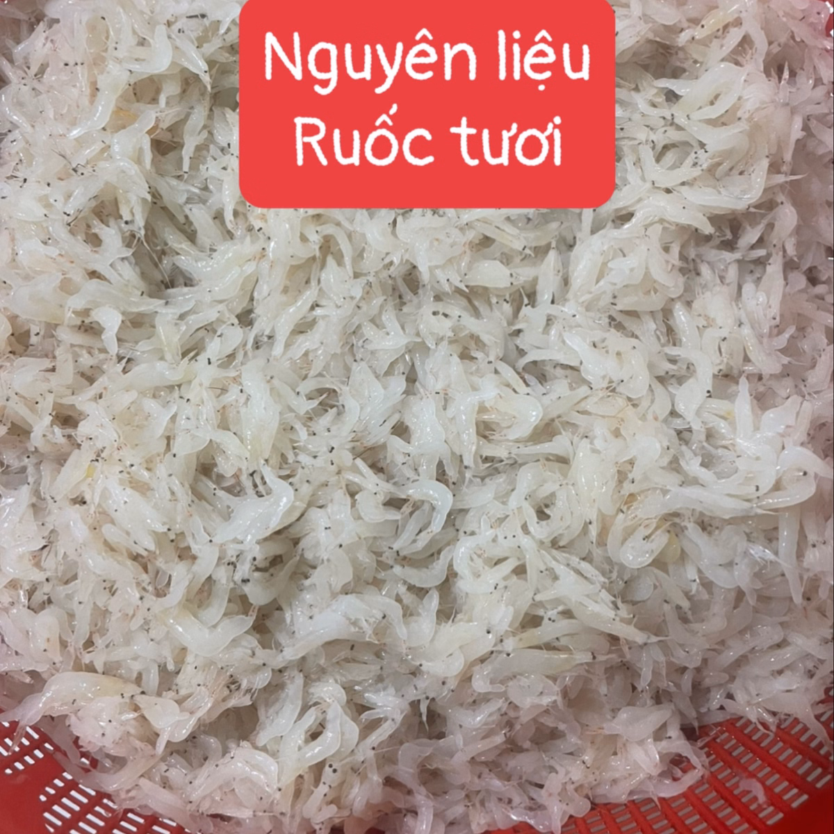 Mắm Ruốc - Vựa Khô Bến Tre - Ảnh 3