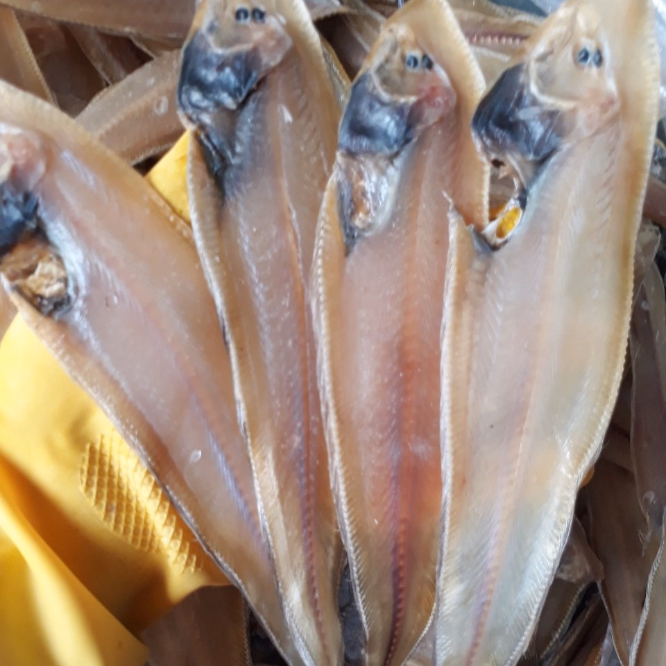 Khô Cá Lưỡi Trâu Vị Mặn Vừa 500G - Vựa Khô Bến Tre - Ảnh 2