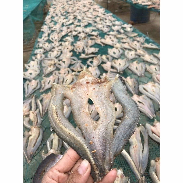 Khô Cá Lóc Non Xẻ Hàng Vừa Ăn Bao Ngon 500G - Winnie House - Ảnh 4