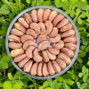 500Gr Hạt Điều Rang Muối Loại A+ Chuyên Biếu Tặng - Pg Bag